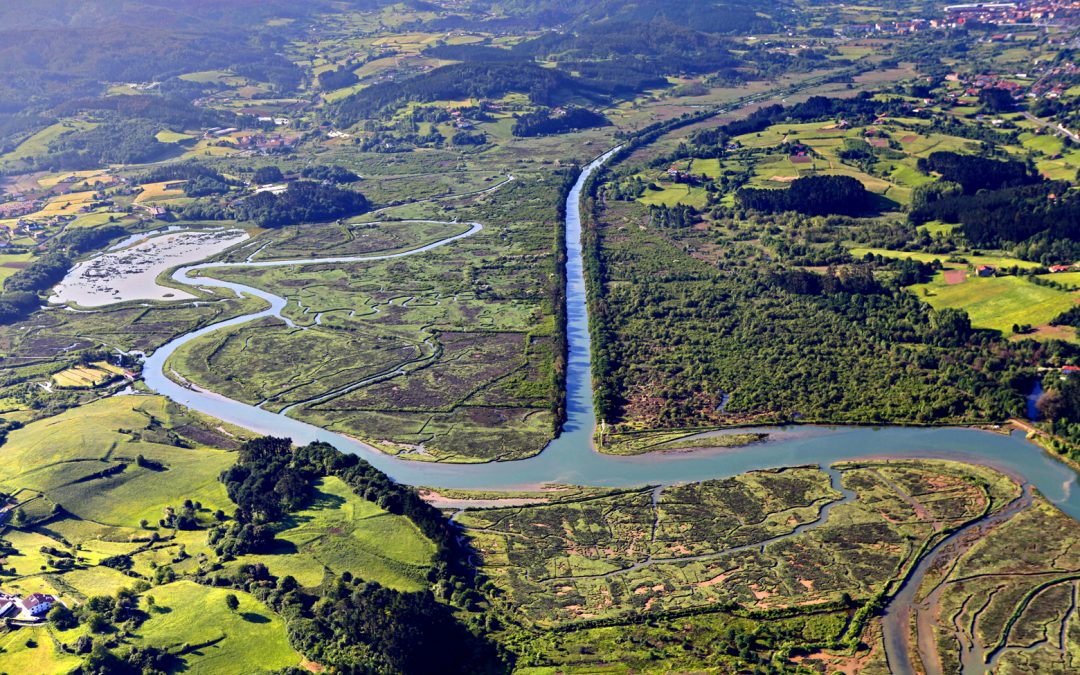 Restauraci&oacute;n Integral del r&iacute;o Oka (C A del Pa&iacute;s Vasco)