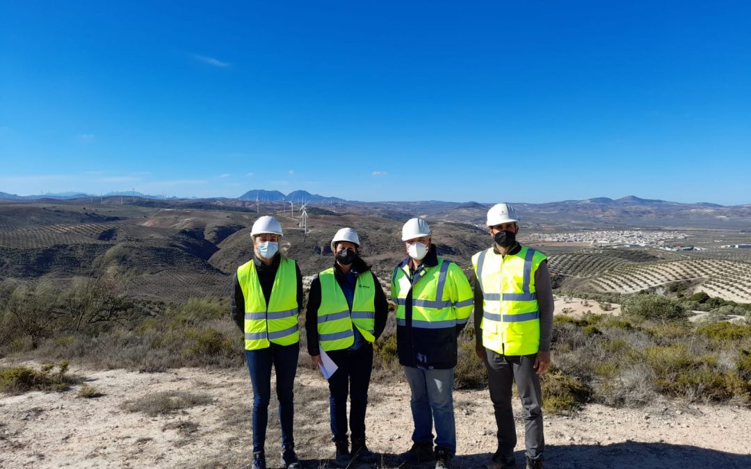 Parque e&oacute;lico Mart&iacute;n de la Jara y subestaci&oacute;n transformadora &laquo;El &Aacute;lamo 220 kV&raquo;