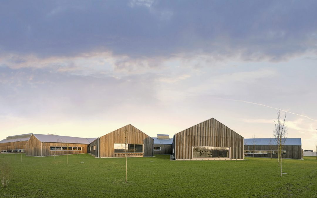 Proyecto Administrativo y de ejecuci&oacute;n de instalaciones para la instalaci&oacute;n de un Ducto de Hidr&oacute;geno