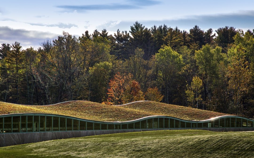 Planta de Biomasa (Fort St. James &ndash; Canad&aacute;)