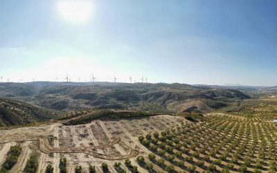 Industria y Energía 6 Parque Eólico Martín de la Jara (Málaga)