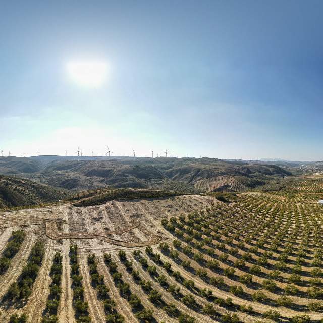 Parque E&oacute;lico Mart&iacute;n de la Jara (M&aacute;laga)
