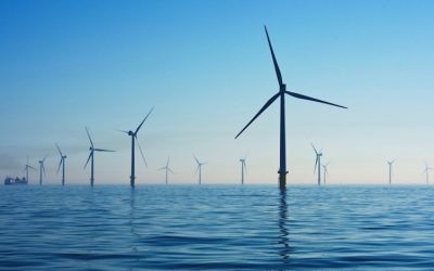 BOSLAN Brazil bets on Offshore