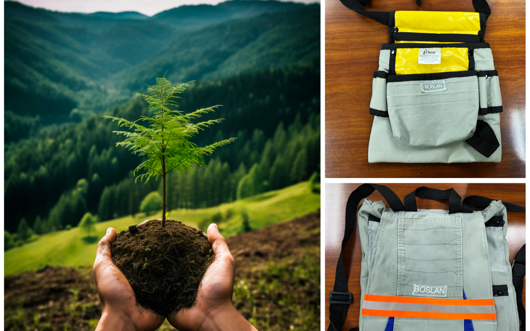 Compromiso Medioambiental en Boslan: Reforestaci&oacute;n y Econom&iacute;a Circular